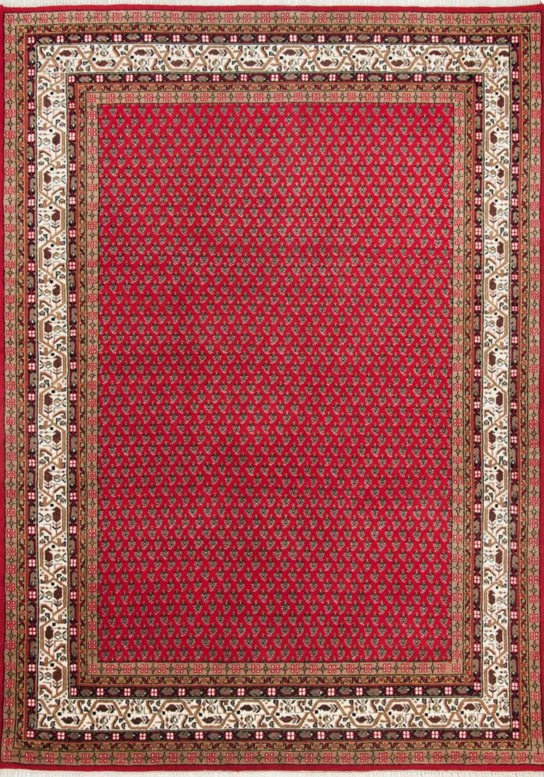 Discount Teppich PANIPAT Klassische Orientteppiche