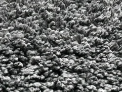 Online Teppich PHOENIX Langflor Teppiche