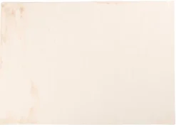 Sale Teppich PLUSH creme Langflor Teppiche