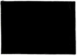 Online Teppich PLUSH schwarz Langflor Teppiche