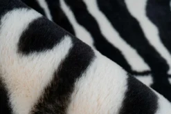 Hot Teppich RABBIT ANIMAL Landhaus Teppiche