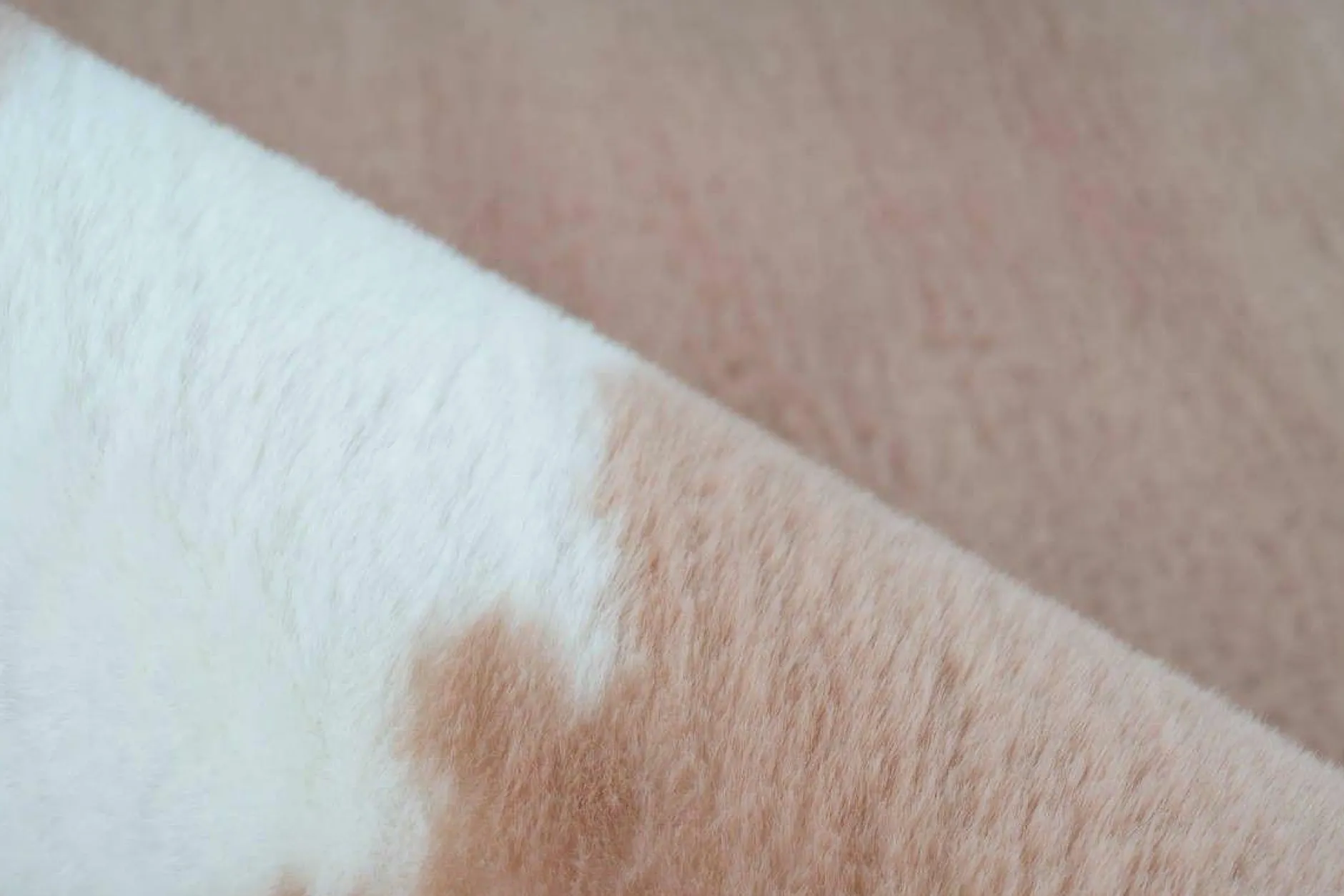 Online Teppich RABBIT ANIMAL Landhaus Teppiche