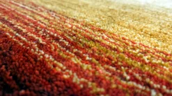 Hot Teppich RAINBOW 1201 multi Gabbeh Teppiche