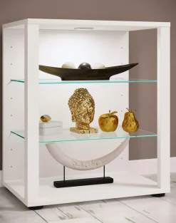 Hot Vitrine GLASOL Vitrinen