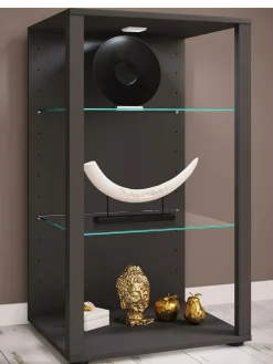 Discount Vitrine GLASOL Vitrinen