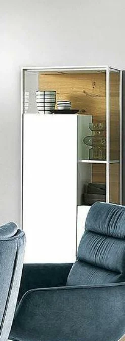 Online Vitrine SENTINO 3000 Vitrinen|Schränke