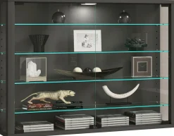 New Vitrine VITROSA Vitrinen