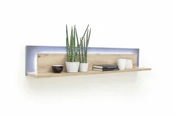 Online Wandboard MADANG Wandboards|Wandregale