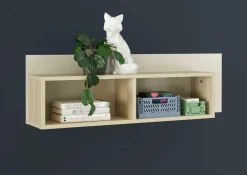 New Wandboard ASSUME Wandregale