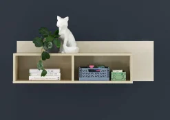 New Wandboard ASSUME Wandregale