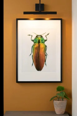 Clearance Wandleuchte VINZ Wandleuchten