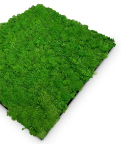 Discount Wandpaneel MODULAR WALL Akustikpaneele|Wandpaneele