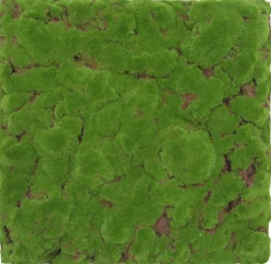 New Wandpaneel MODULAR WALL Akustikpaneele|Wandpaneele