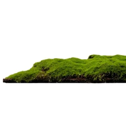 New Wandpaneel MODULAR WALL Akustikpaneele|Wandpaneele