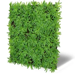 Outlet Wandpaneel MODULAR WALL Akustikpaneele|Wandpaneele