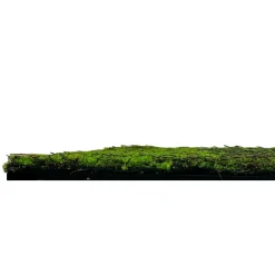 Outlet Wandpaneel MODULAR WALL Akustikpaneele|Wandpaneele