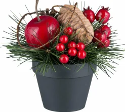 Hot Zapfen und Beeren Arrangement Santa'S Village