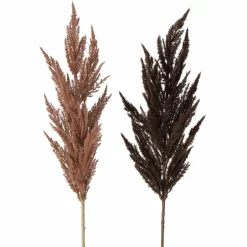Outlet Zweig PAMPASGRAS Pflanzen